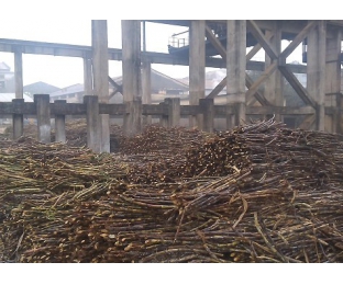 廣西來(lái)賓某堿氯法甘蔗渣制漿廠除COD、脫色案例分享